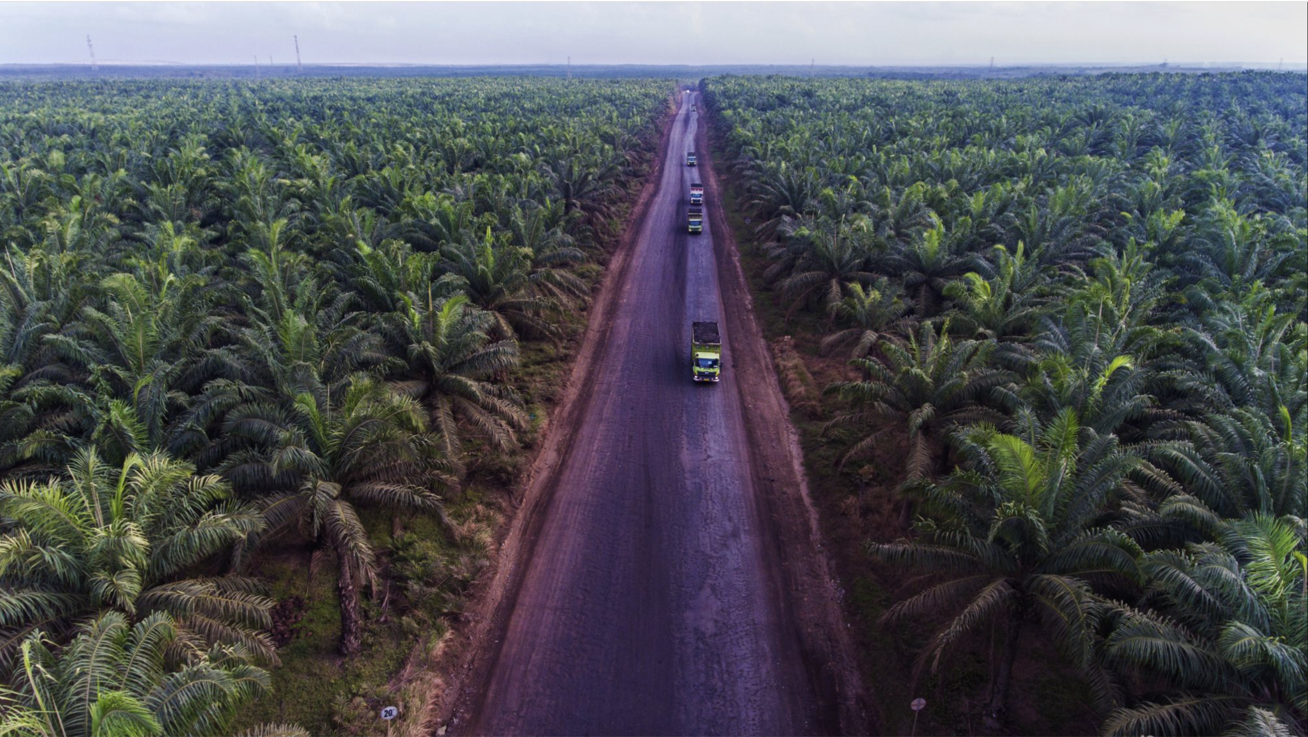 Wilmar International