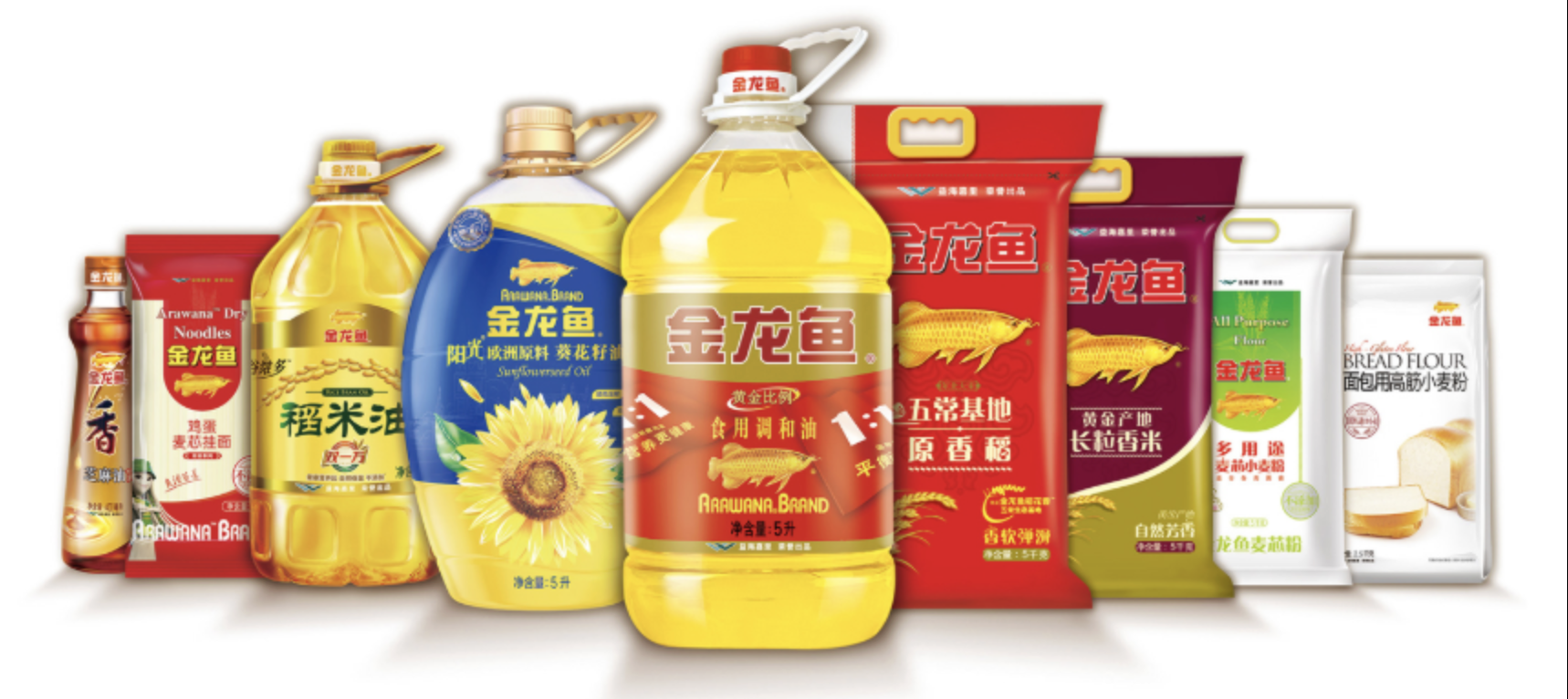 PT Wilmar Nabati Indonesia