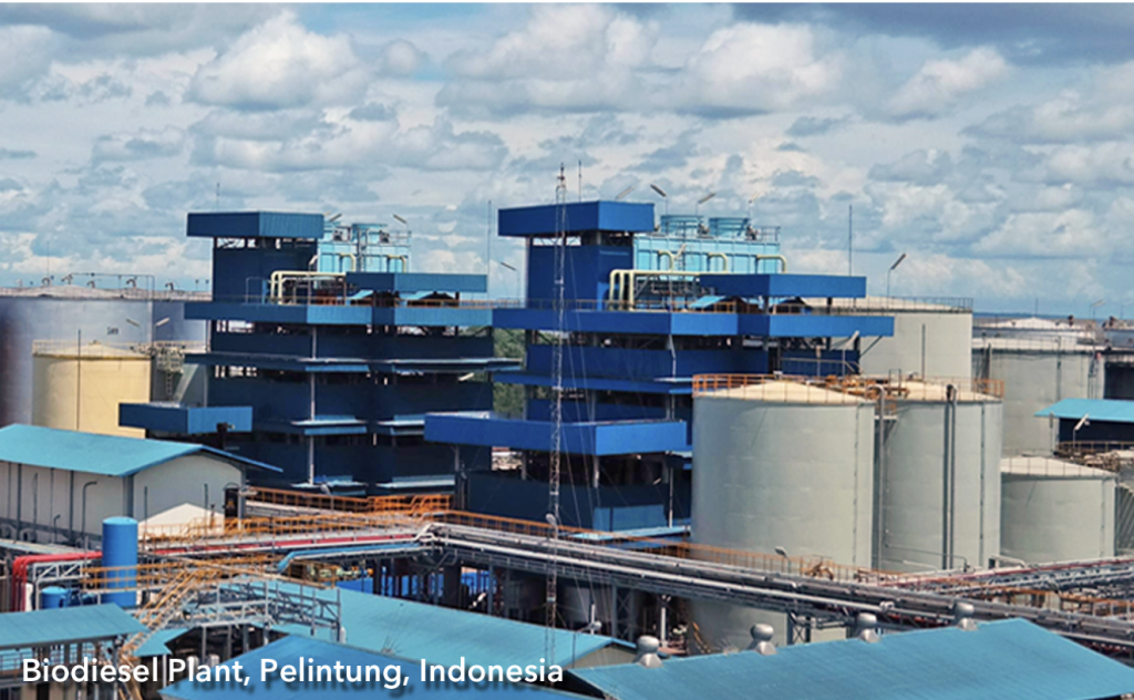 Wilmar Oleochemicals & Biofuels