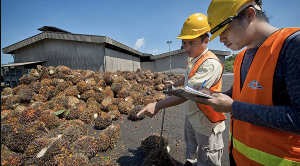 PT Wilmar Nabati Indonesia