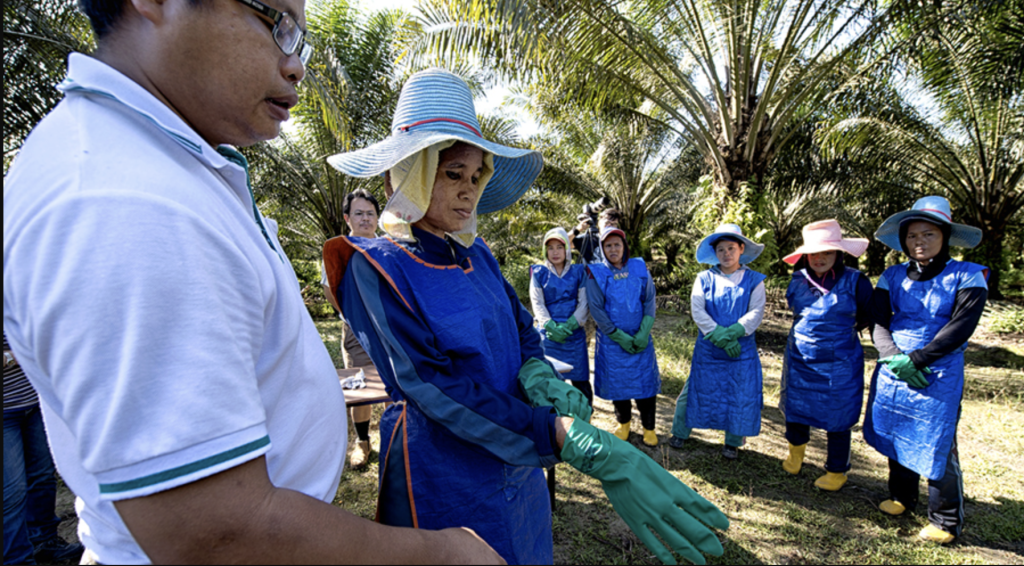 PT Wilmar Nabati Indonesia