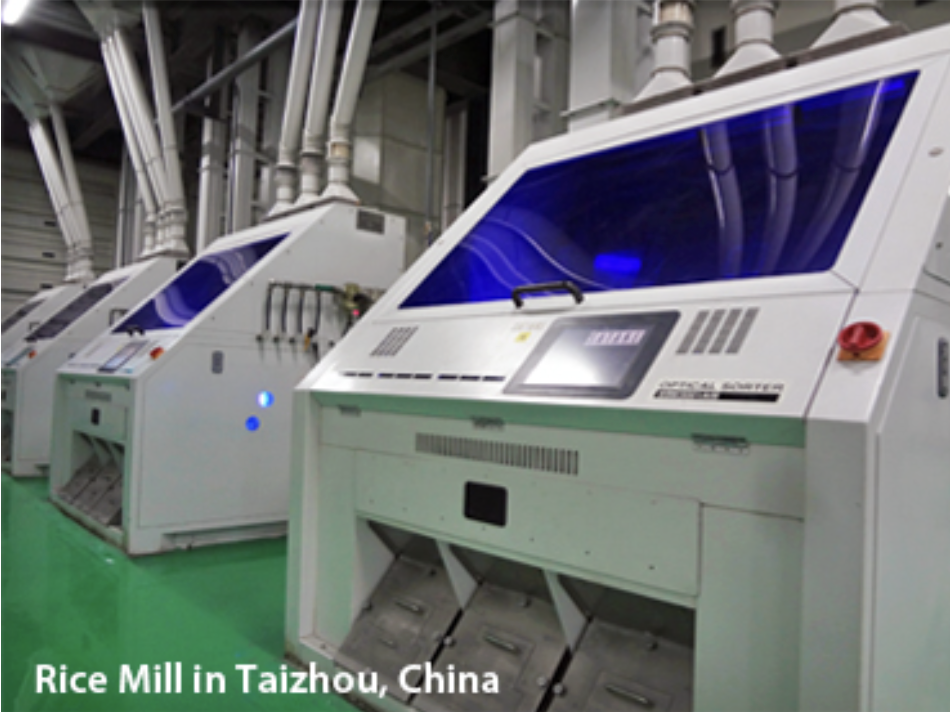 Wilmar International Food processing company