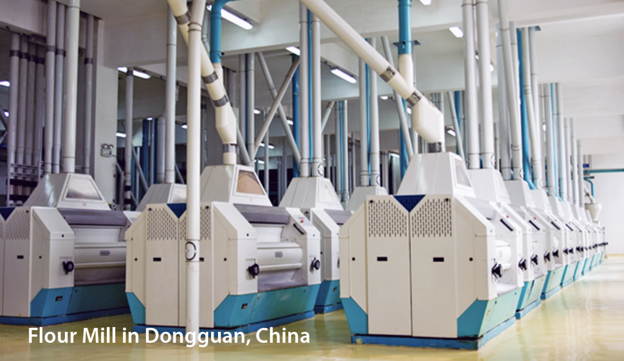 Wilmar International Food processing company