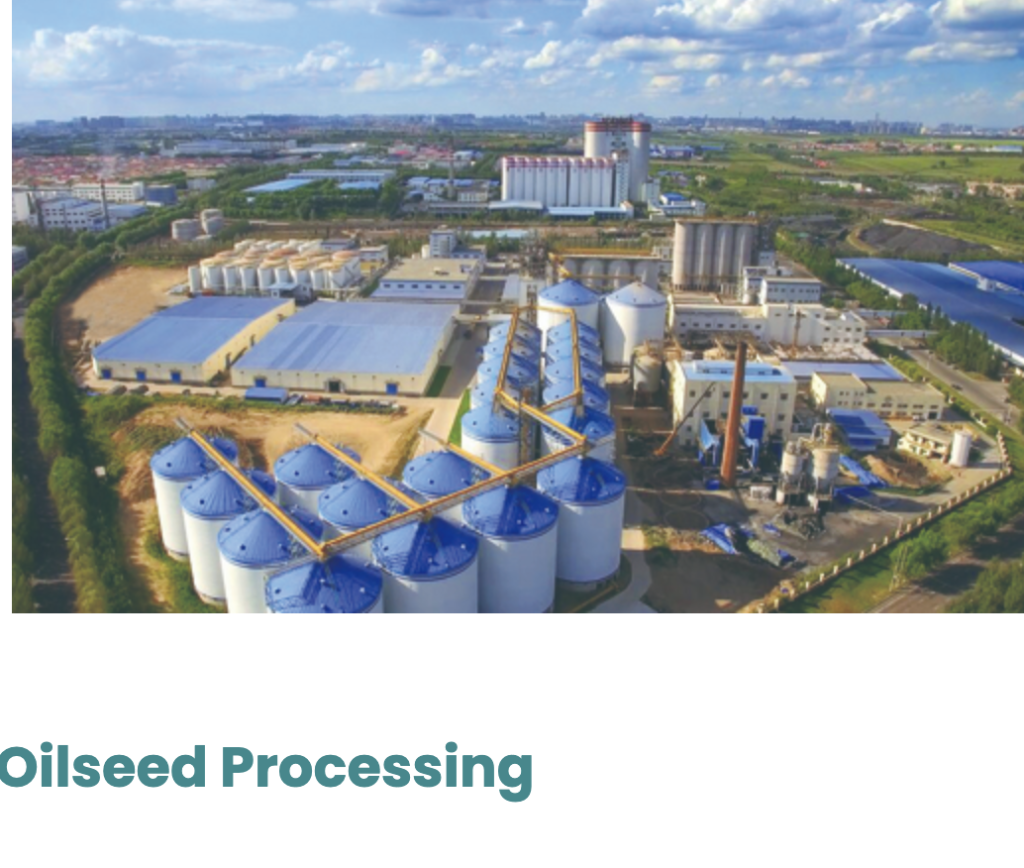 oilseed for sale