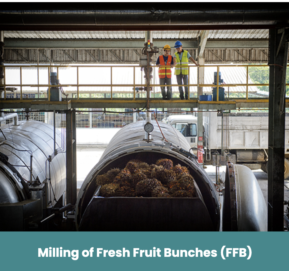 Wilmar international palm oil export