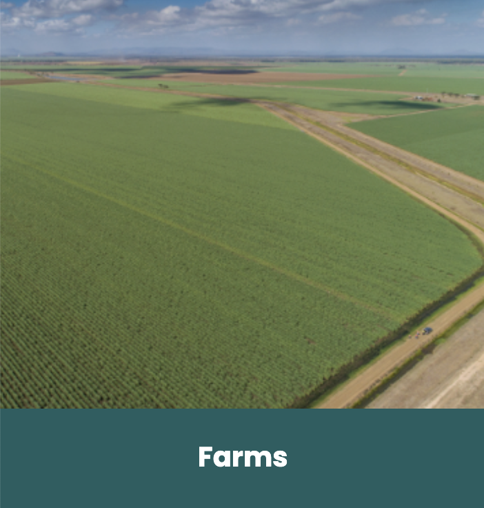 wilmar raw sugar export