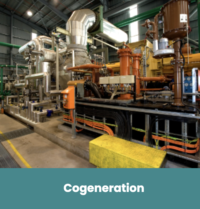 wilmar raw sugar export