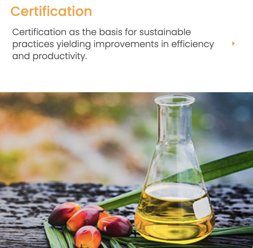 Wilmar vegetable oil exportation